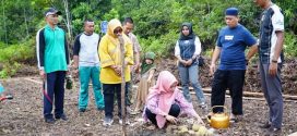 Bupati Lingga Letakan Batu Pertama Rencana Pembangunan Rumah Tenun Dikawasan Damnah kecamatan Lingga